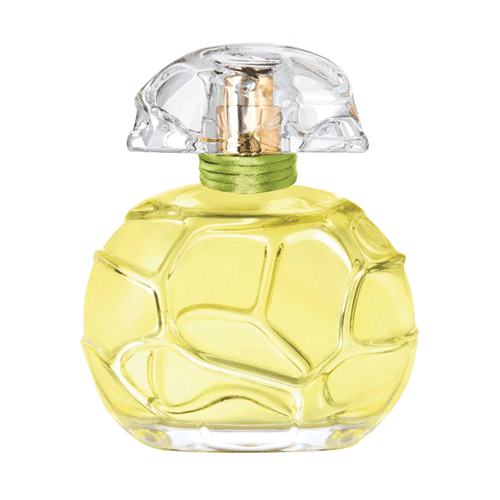 QUELQUES FLEURS JARDIN SECRET