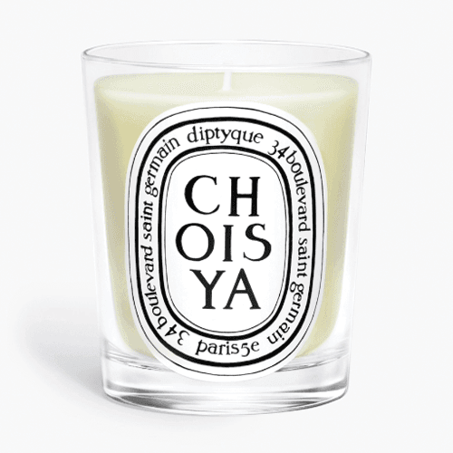 CHOISYA CANDELA PROFUMATA