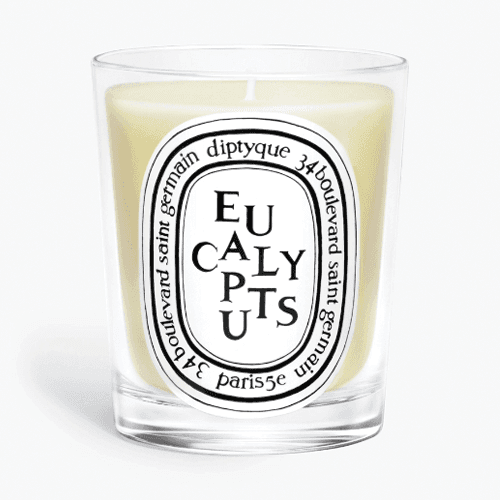 EUCALYPTUS CANDELA PROFUMATA