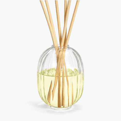 34 BOULEVARD SAINT GERMAIN DIFFUSORE A BASTONCINI