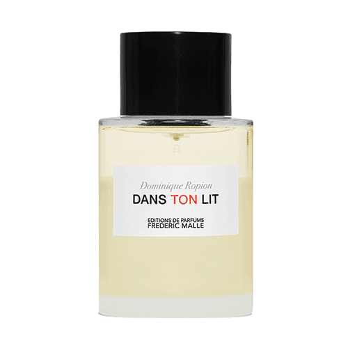 DANS TON LIT