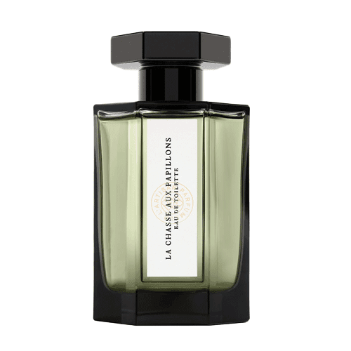 LA CHASSE AUX PAPILLONS