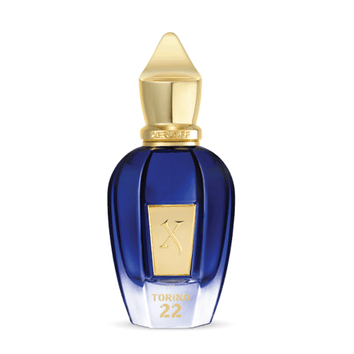 TORINO 22